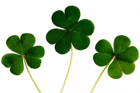 20160912_News_TheLuckOfTheIrishIsInOurSights_INDEV luck