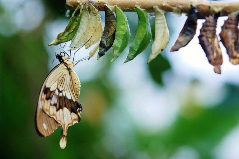 20170906_Notice_MIC2017drivingIndustryTransformation_1200x800 transformation