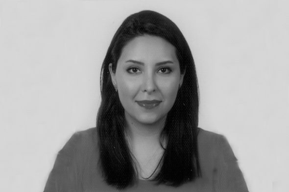 Negar Gharahshir, Structex negar-gharahshir